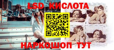 PSILOCYBIN Пугачёв