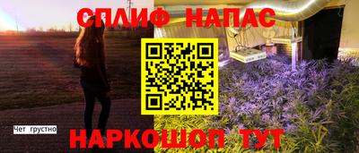 PSILOCYBIN Пугачёв