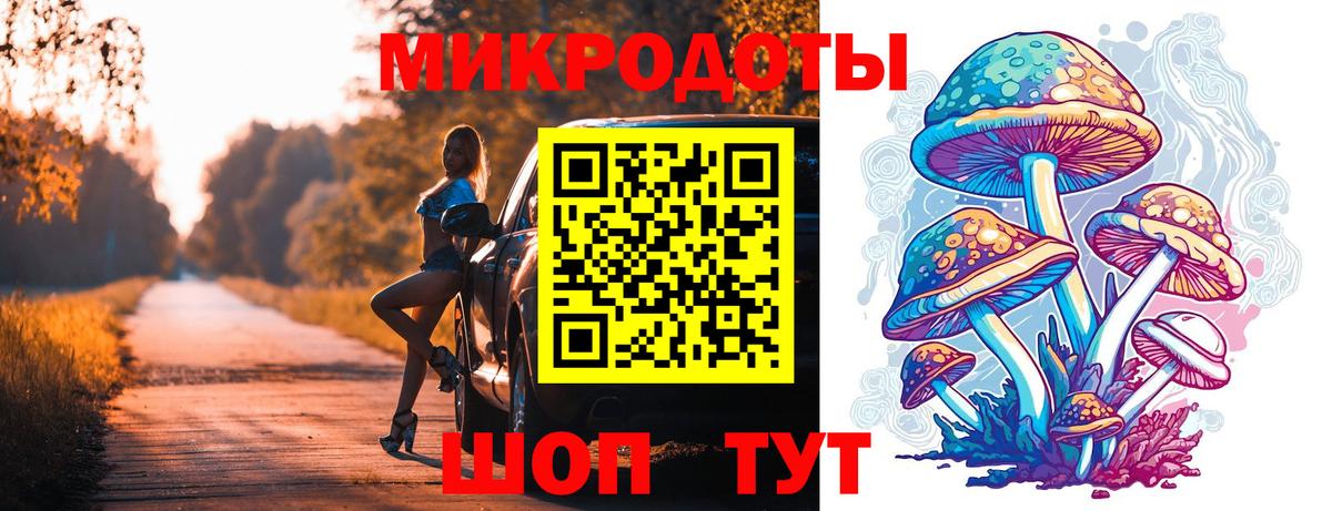 Галлюциногенные грибы Psilocybe Ачинск